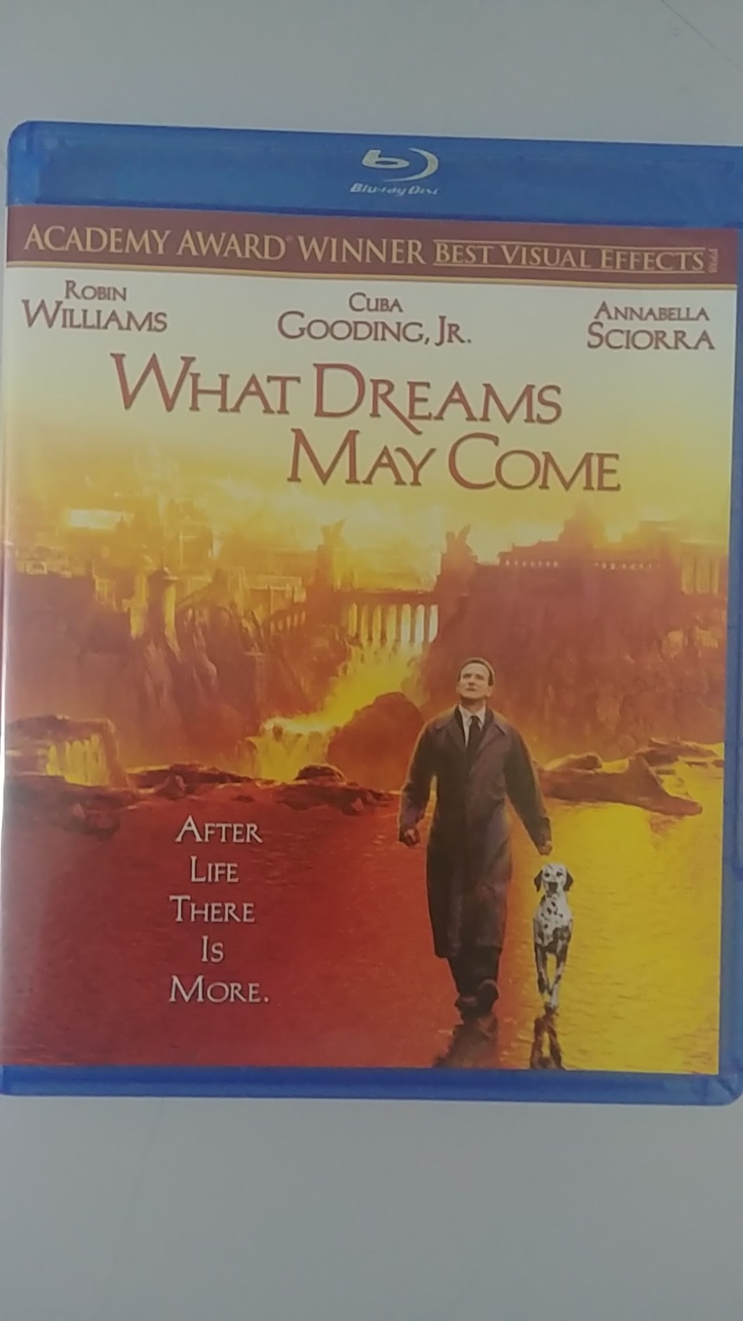 What Dreams May Come - Special Edition [DVD] customer photo 1