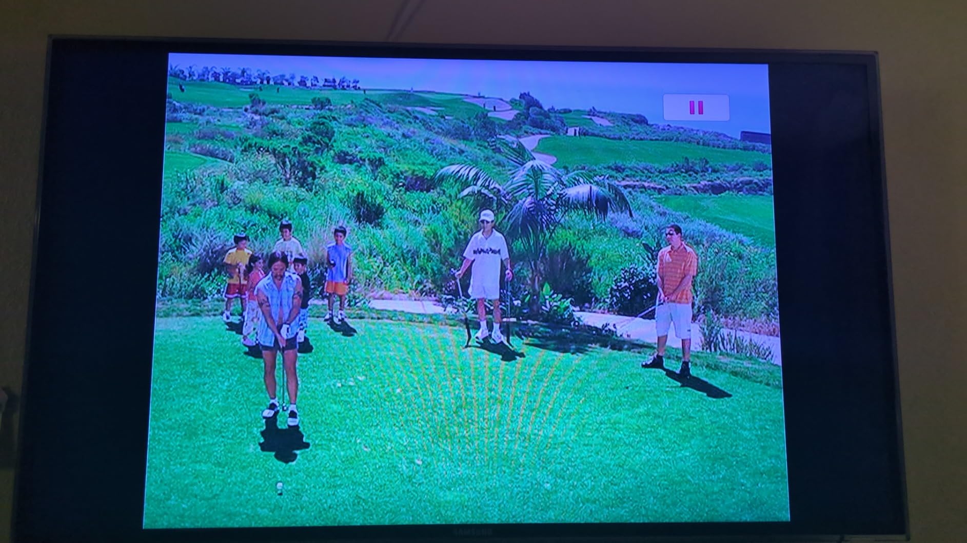 50 First Dates customer photo 1