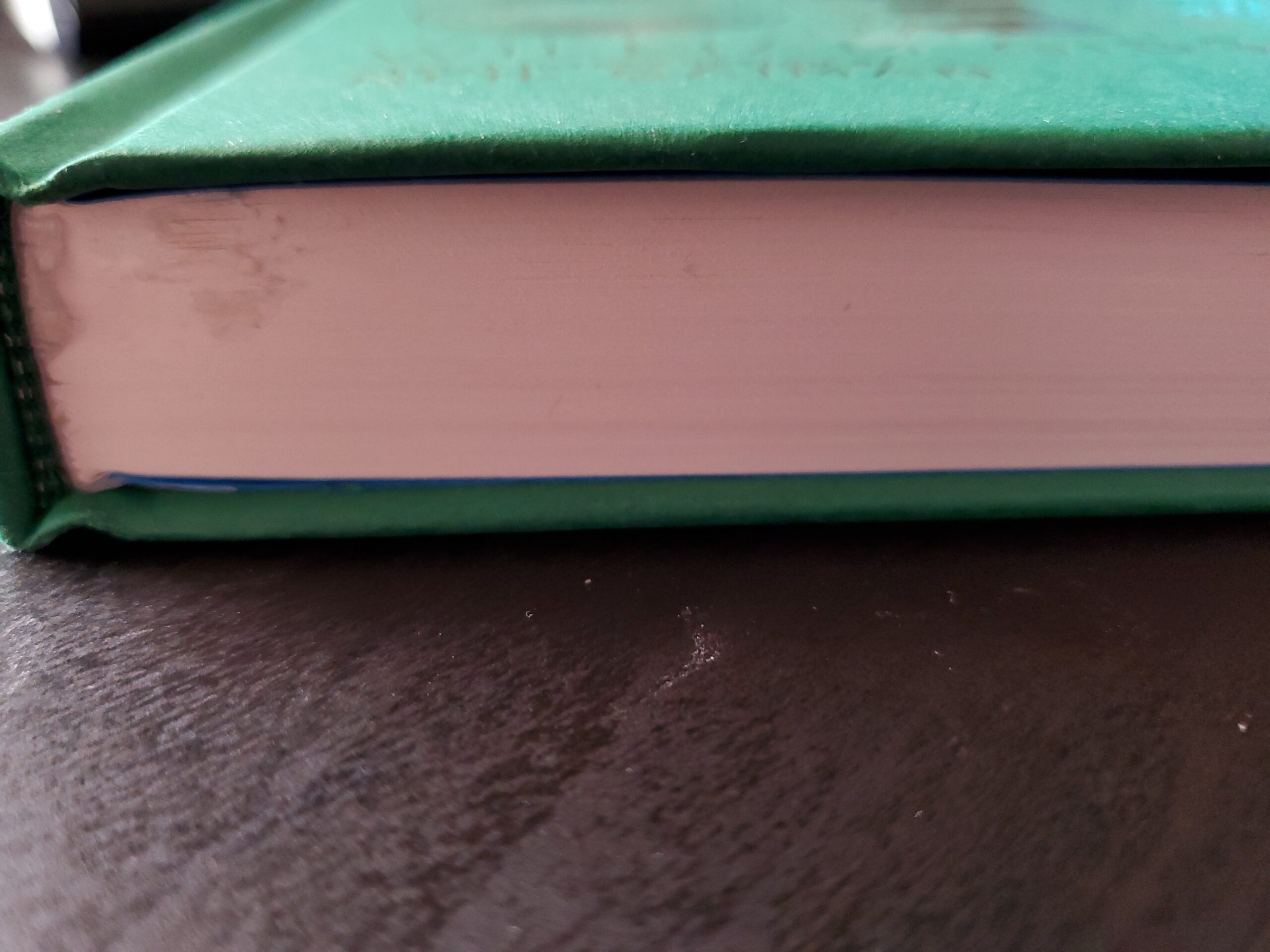 Neuromancer (Sprawl Trilogy Book 1) customer photo 2
