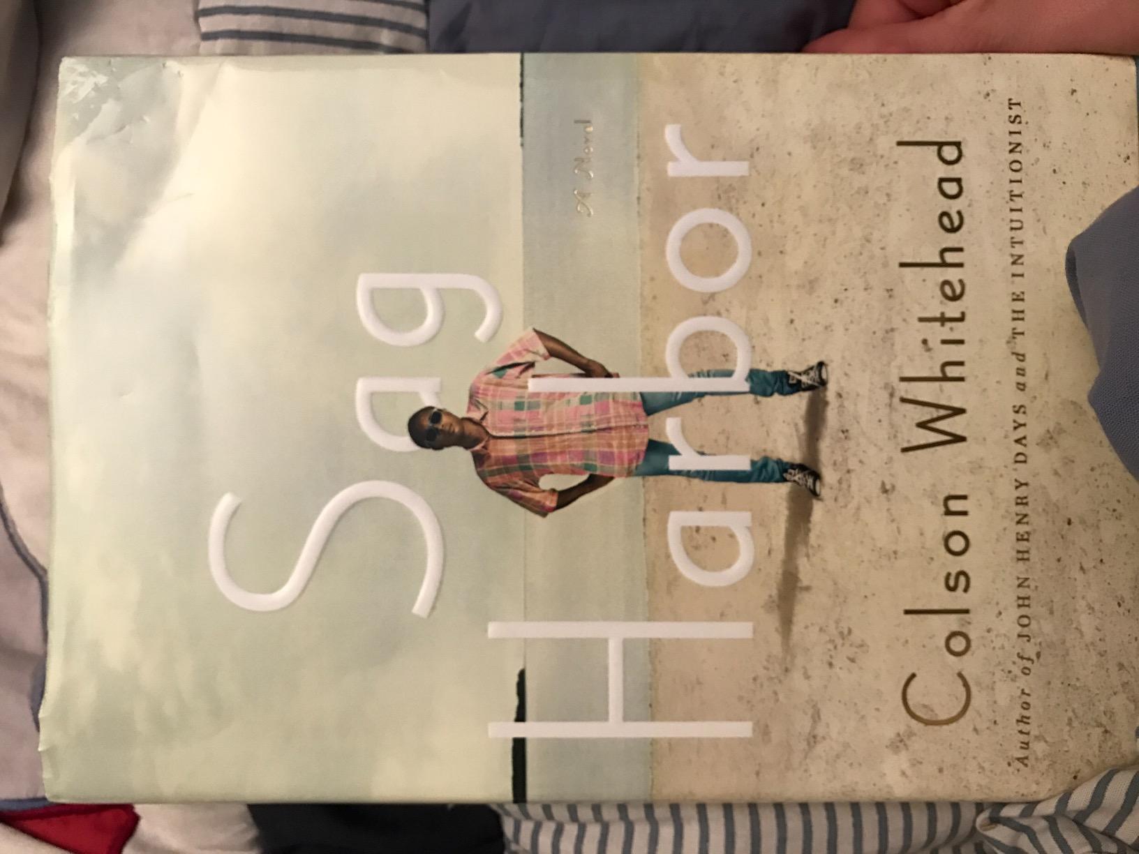 Sag Harbor: A Novel customer photo 1