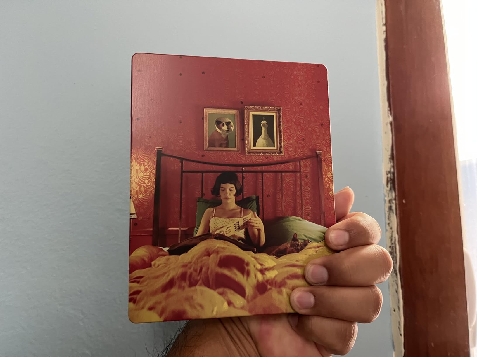 Amélie [Blu-ray] customer photo 2