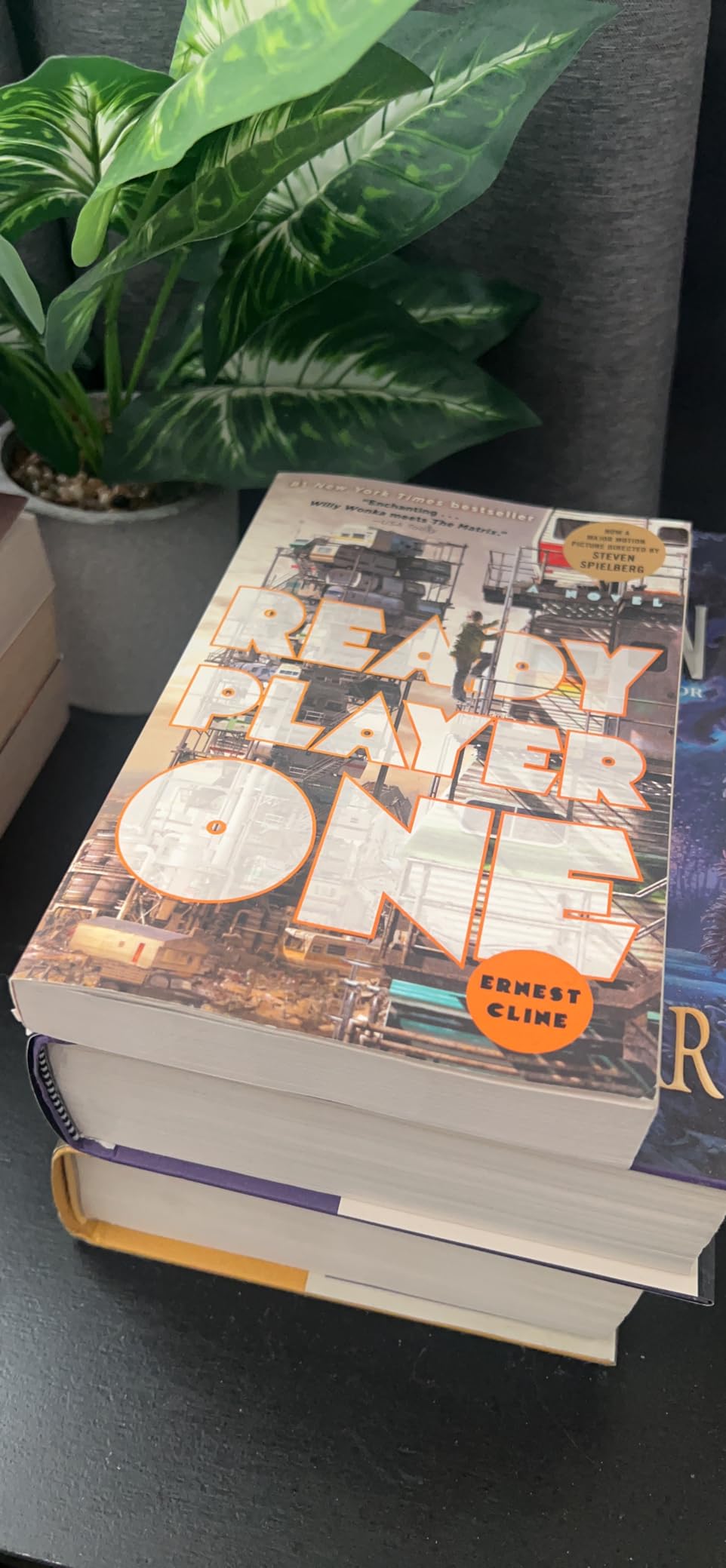 Ready Player One customer photo 1