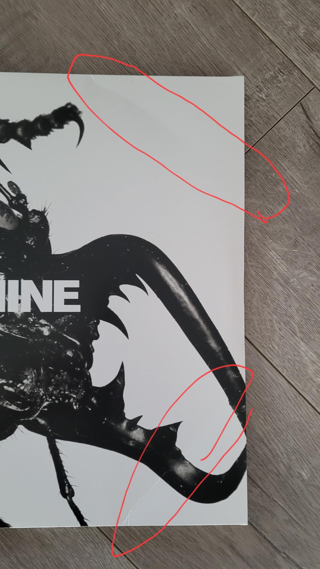Massive Attack - Mezzanine (Vinyl LP) customer photo 2