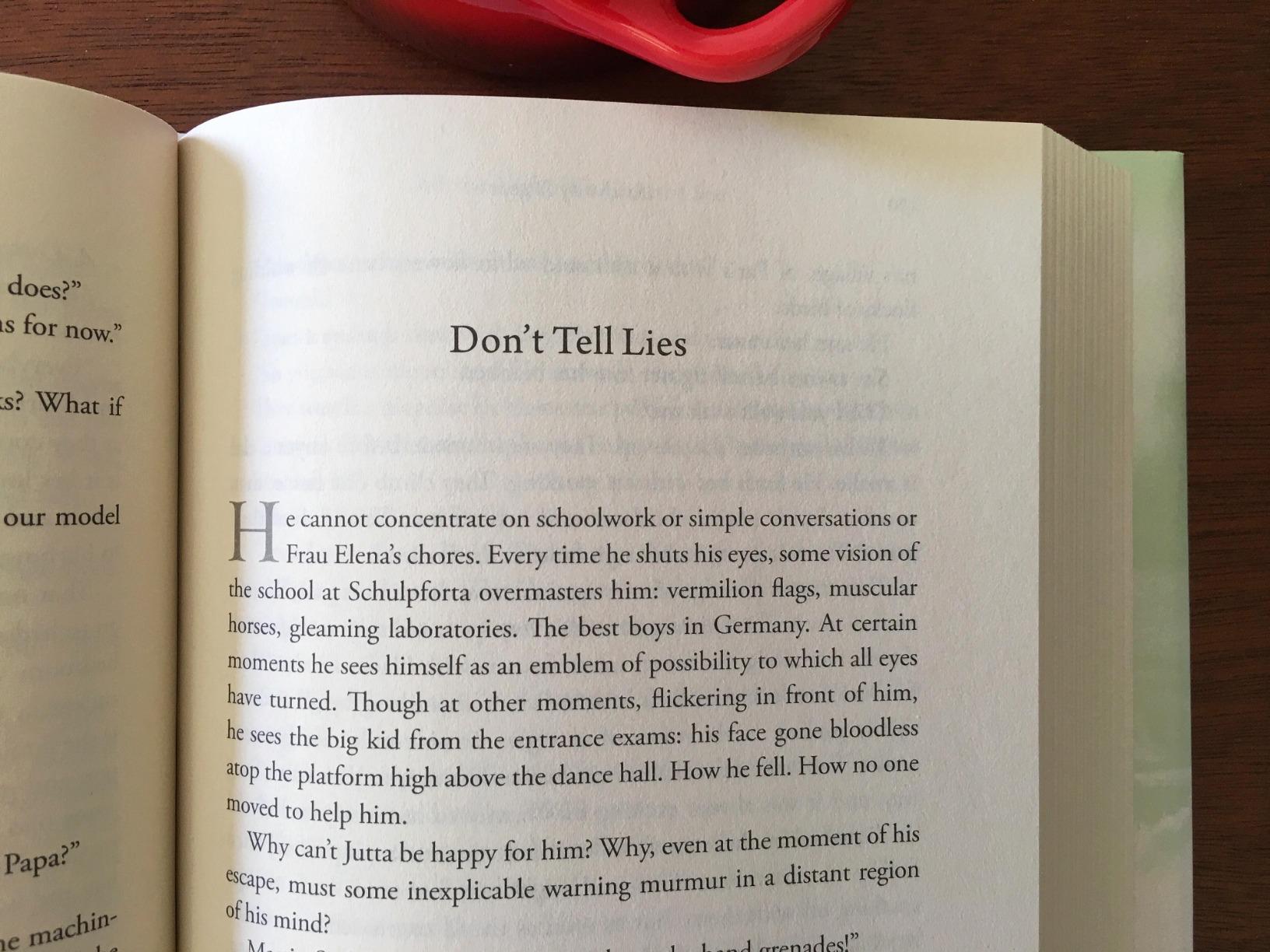 All the Light We Cannot See: A Novel customer photo 1
