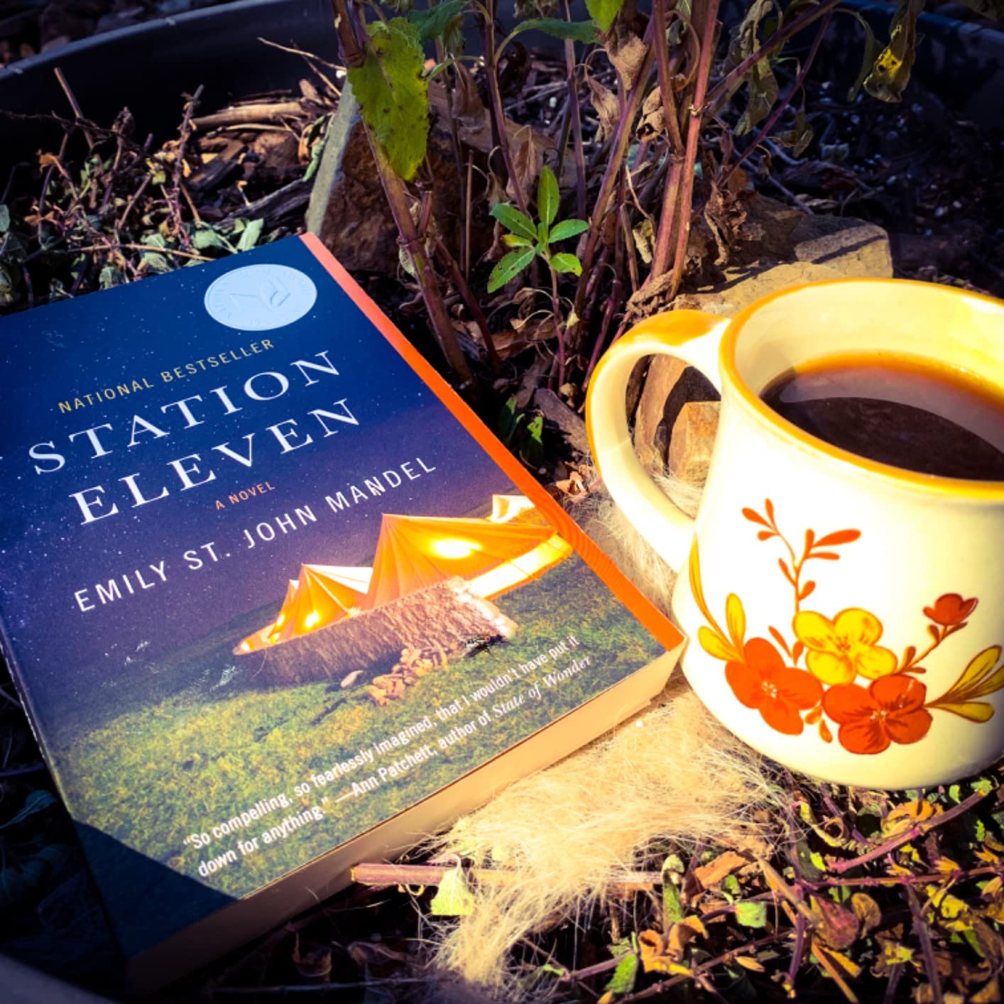 Station Eleven: A Novel (National Book Award Finalist) customer photo 2