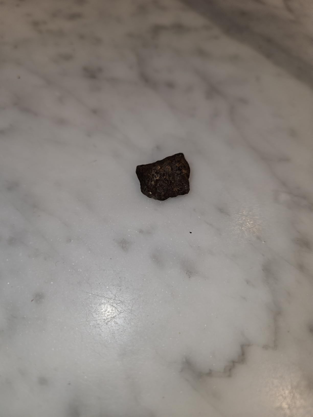 Brooklyn Coffee Whole Bean Italian Dark Roast (5lb) Extra Strong - Fresh Bulk Coffee Beans Roasted Weekly in NYC customer photo 1