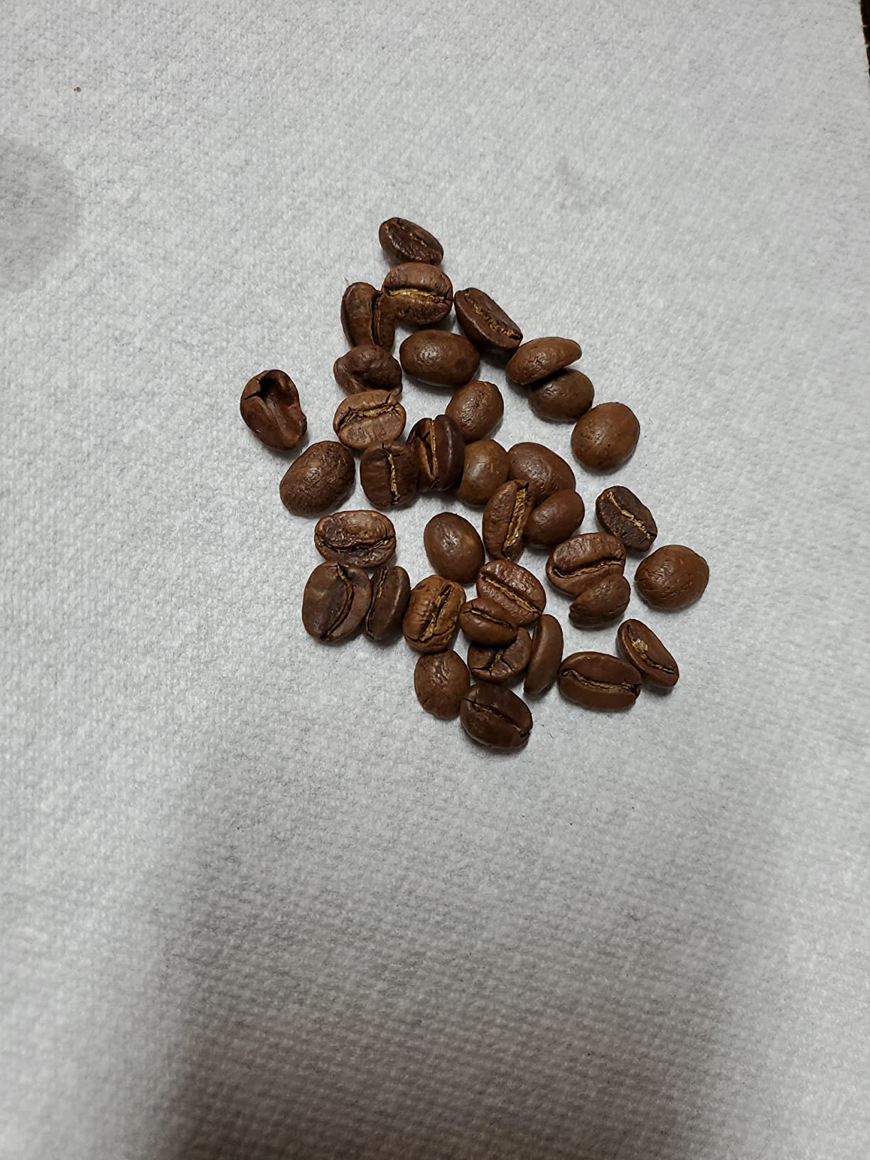 Nguyen Coffee Supply Moxy Arabica Medium Roast Premium Whole Coffee Beans - Roasted in Brooklyn, 12 oz customer photo 1