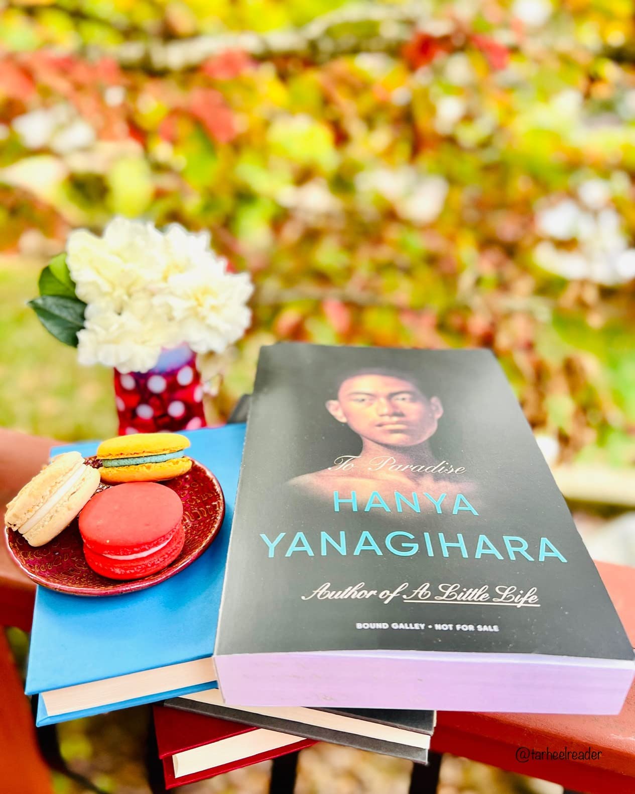 To Paradise: A Novel customer photo 1