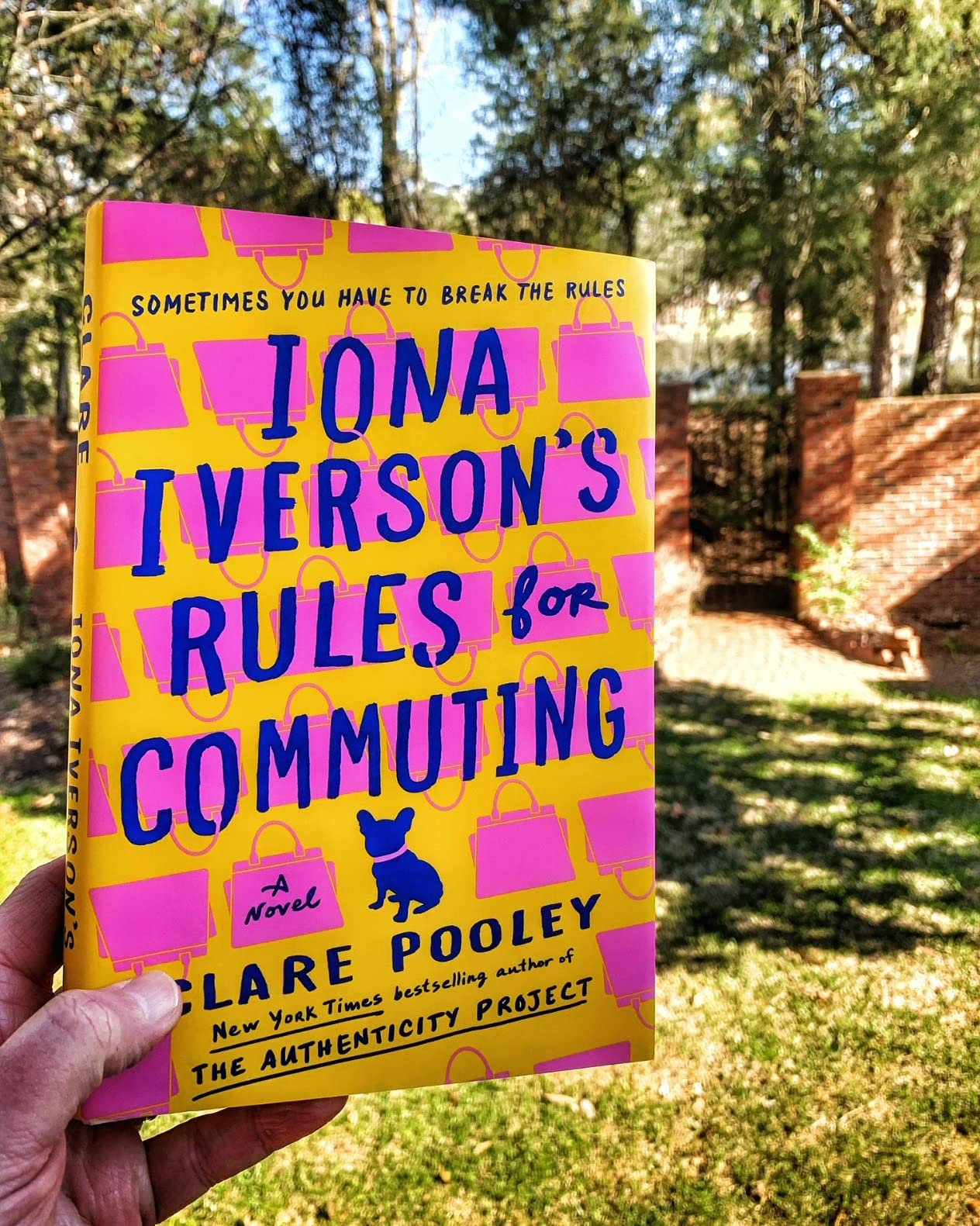 Iona Iverson's Rules for Commuting: A Novel customer photo 1