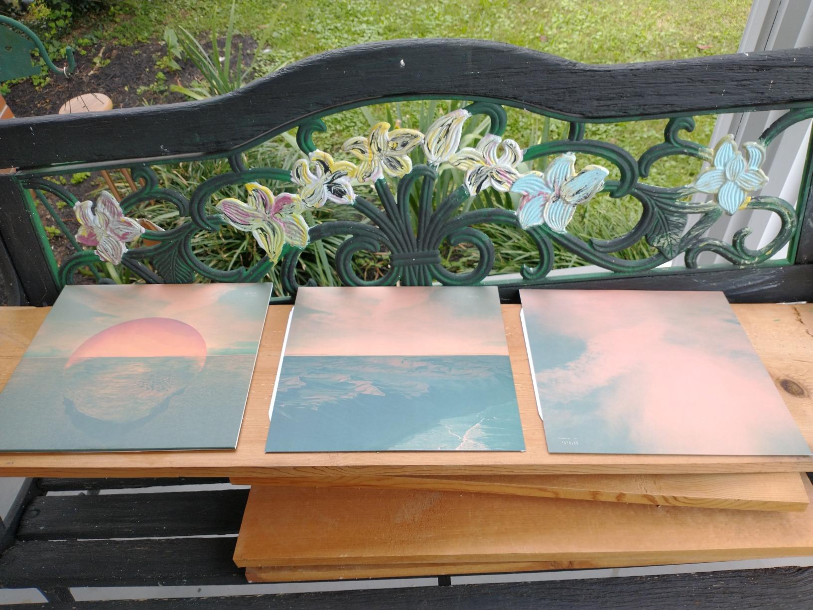 Tycho - Dive (Vinyl LP) customer photo 1