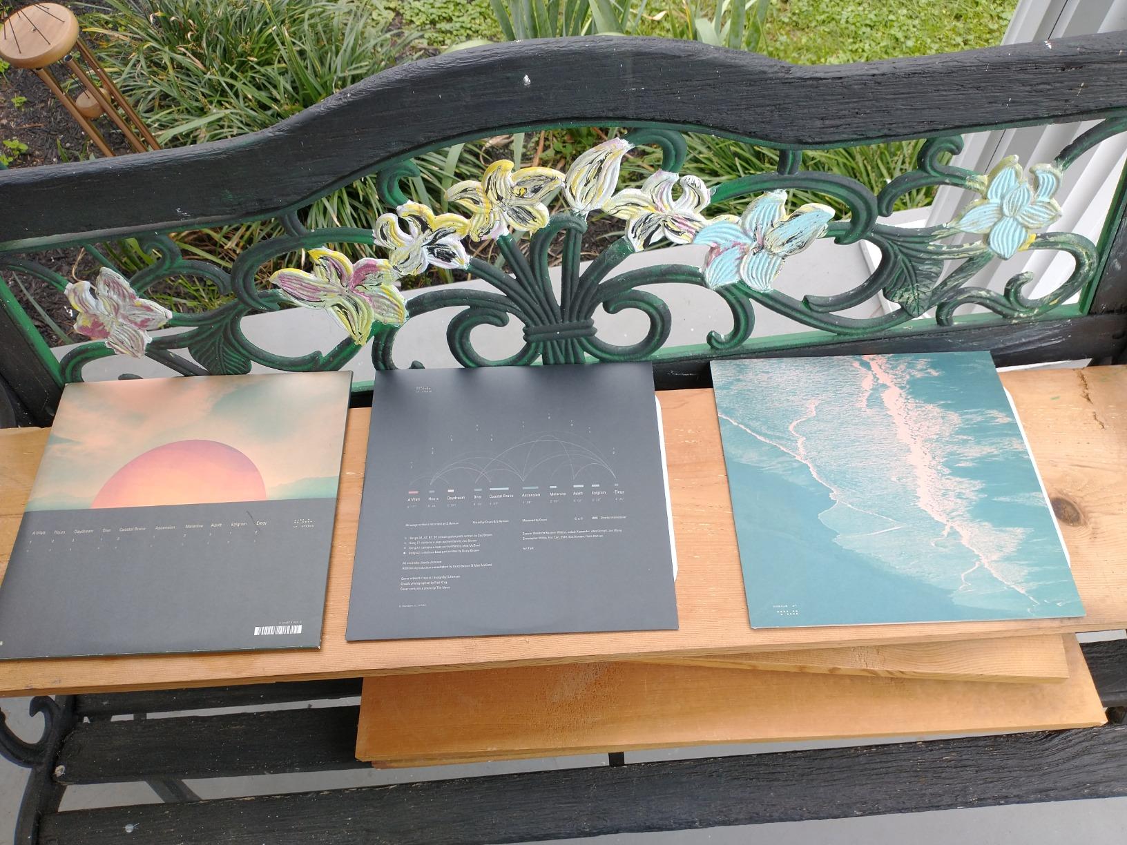 Tycho - Dive (Vinyl LP) customer photo 2