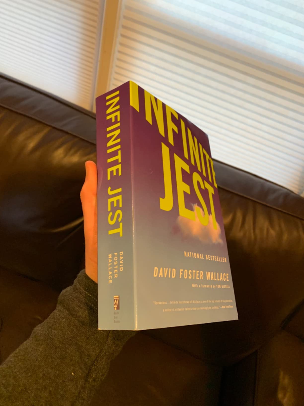 Infinite Jest (30th Anniversary Edition) customer photo 1