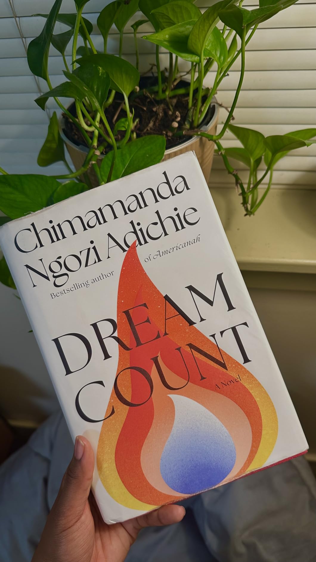 Dream Count: A Novel customer photo 1