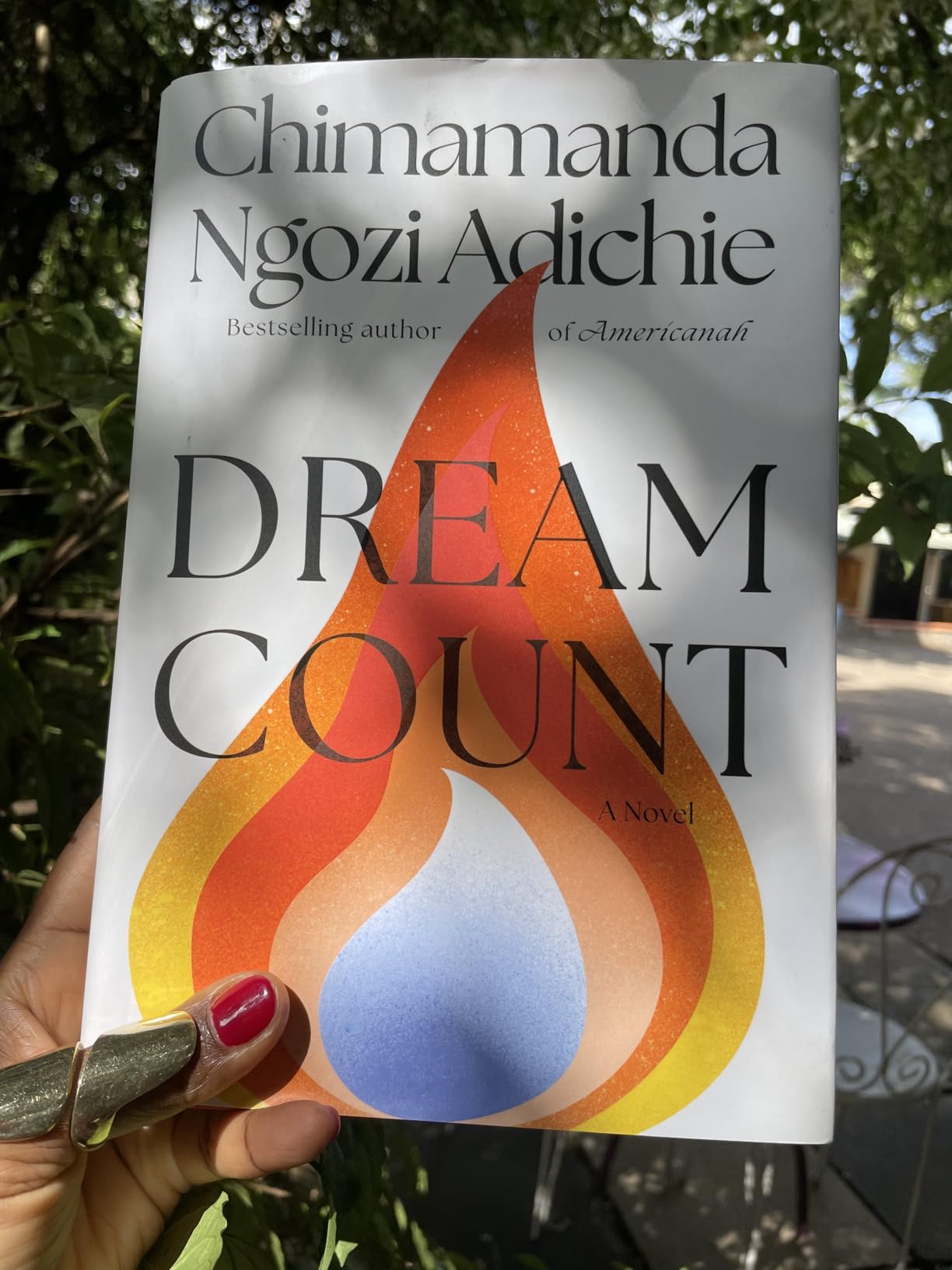Dream Count: A Novel customer photo 2