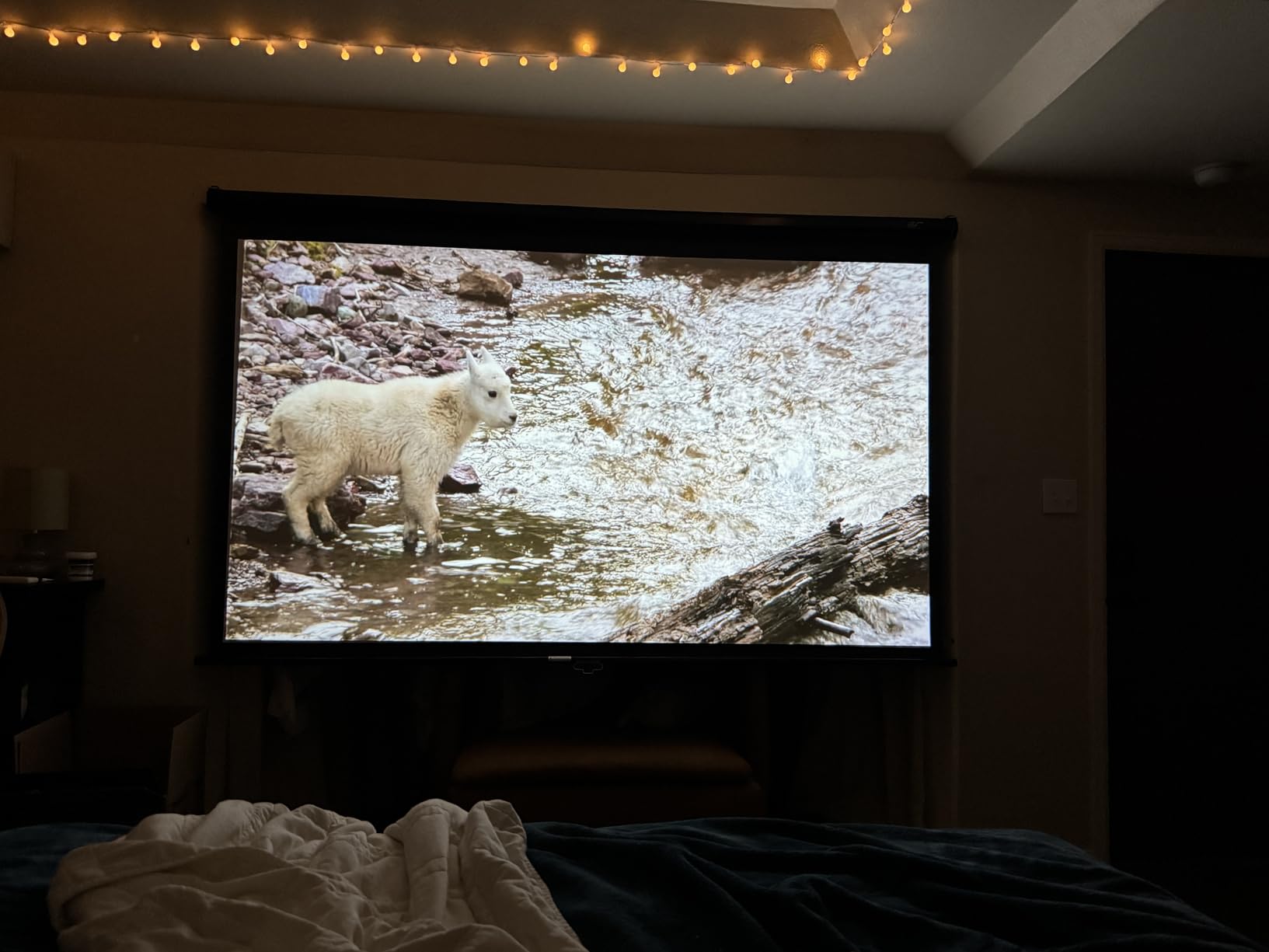 Elite Screens Manual Series, 100-INCH 16:9, Pull Down Manual Projector Screen with AUTO LOCK, Movie Home Theater 8K / 4K Ultra HD 3D Ready, 2-YEAR WARRANTY customer photo 1