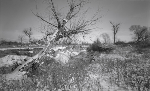 120 Wide Pinhole Camera - Medium Format Pinhole Camera customer photo 2