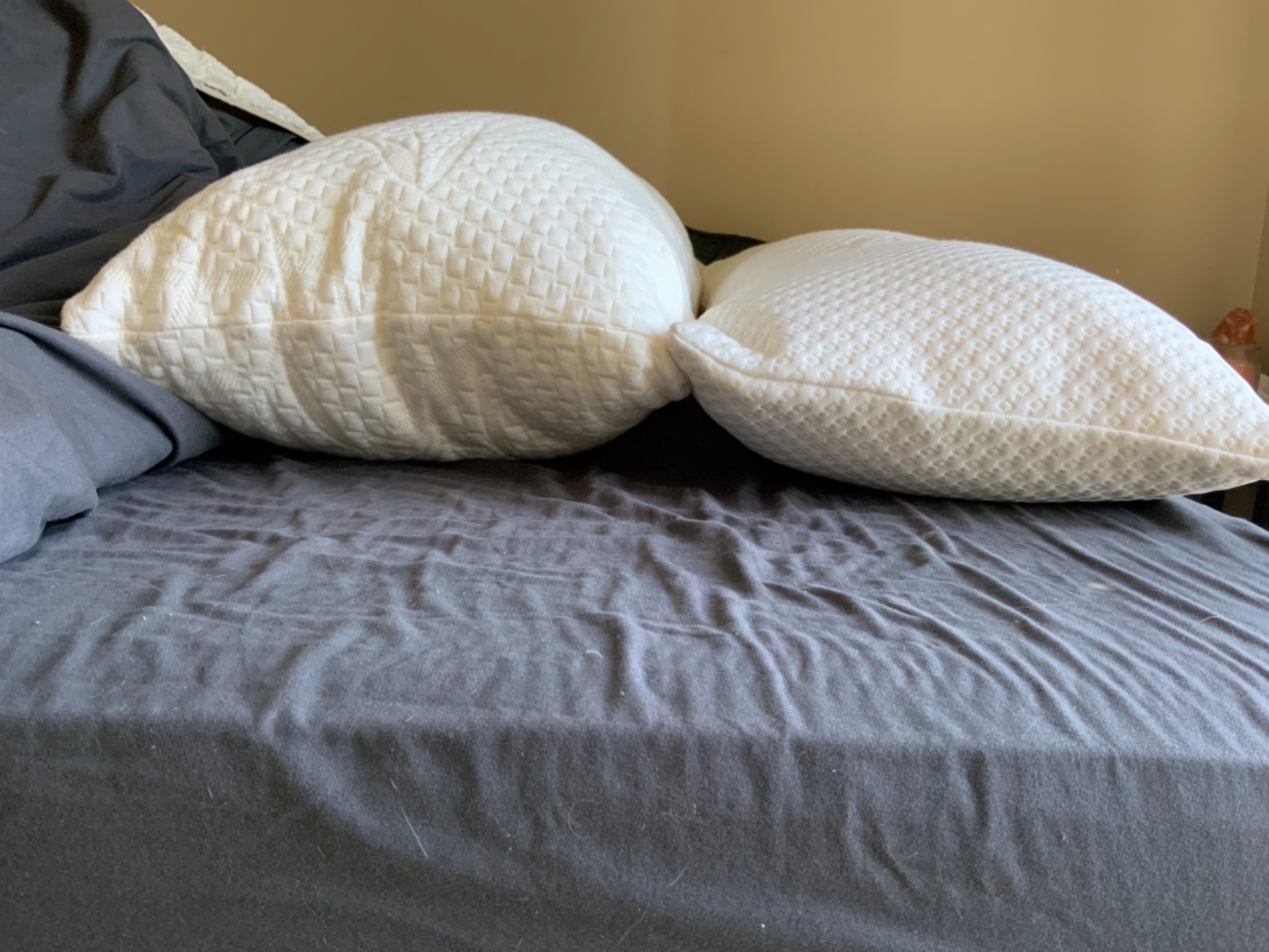 TEMPUR-Body Pillow, Queen customer photo 2