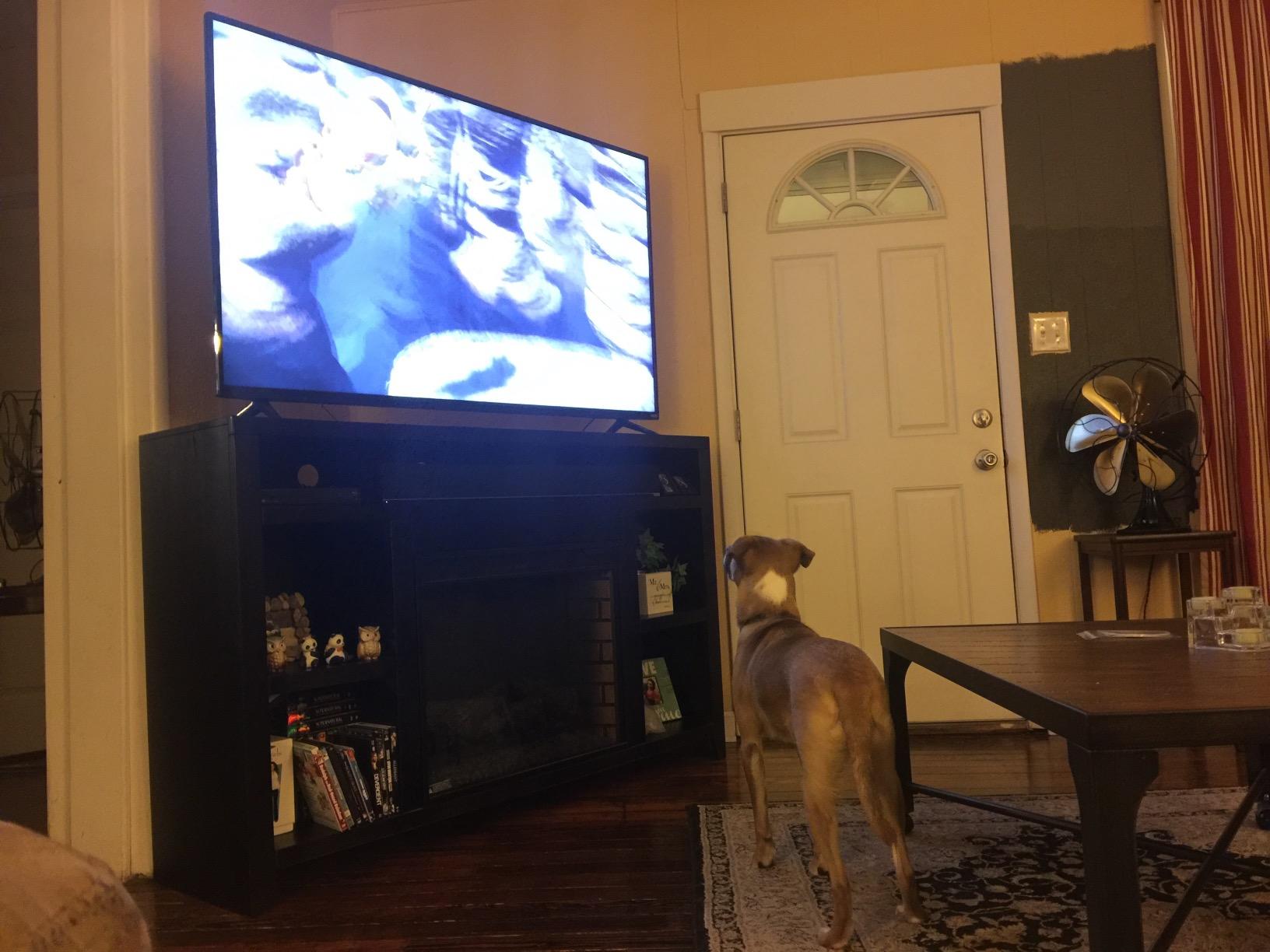 Up (Three-disc Blu-ray / DVD Combo) customer photo 2