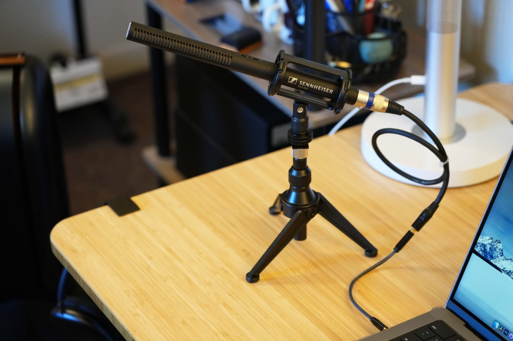 Sennheiser Pro Audio MKE 600 Shotgun Microphone customer photo 2