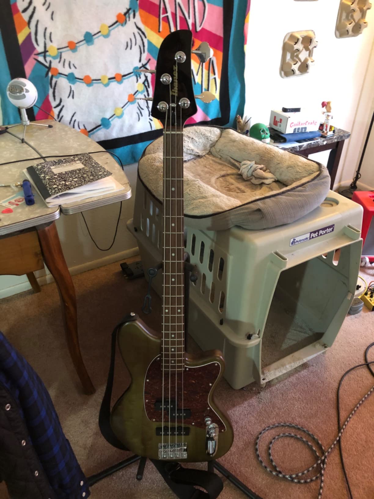 Ibanez TMB100 Talman Standard, Mint Green customer photo 2