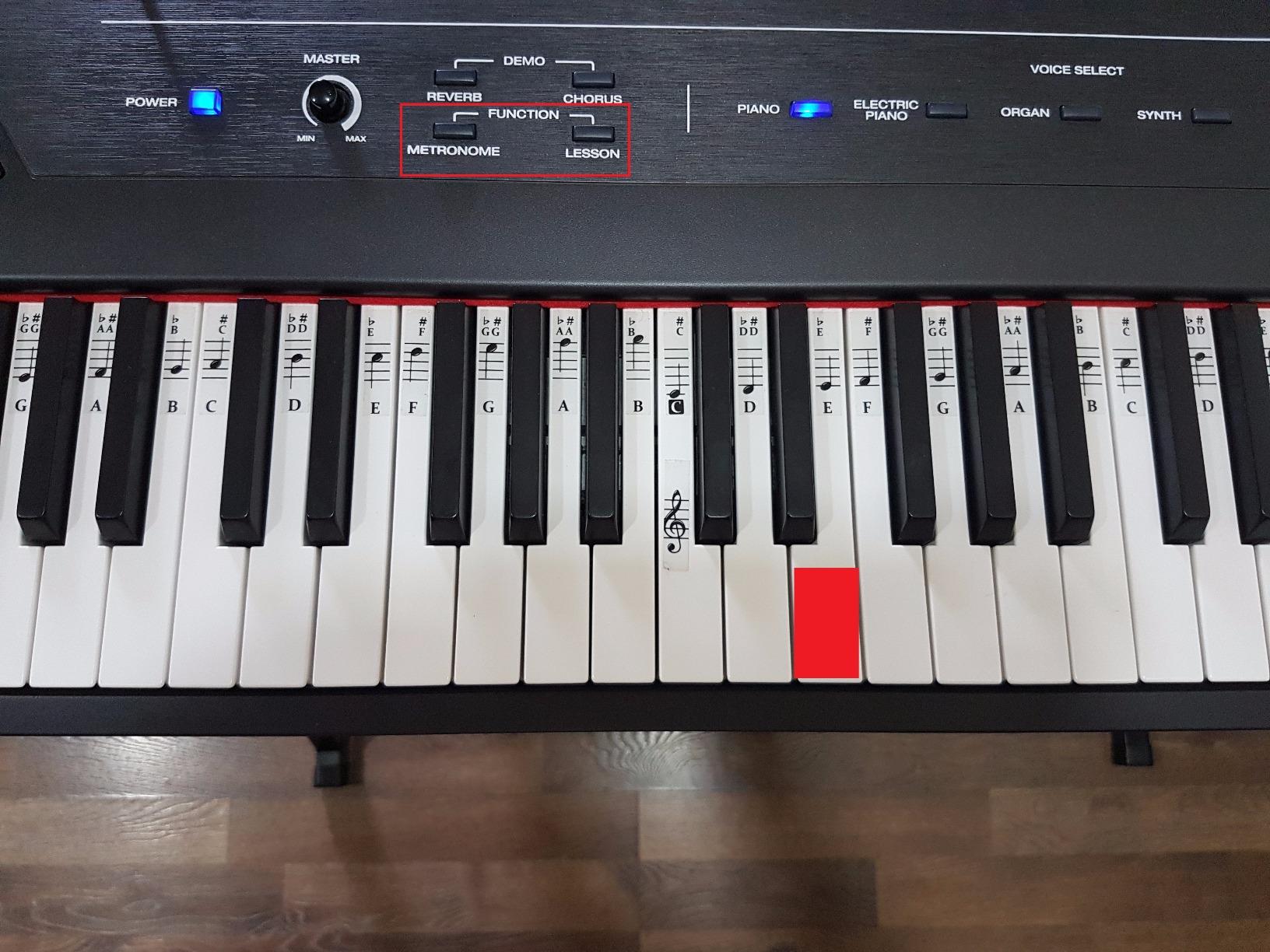 Alesis Recital 88 Key Digital Piano Keyboard with Semi-Weighted Keys customer photo 2