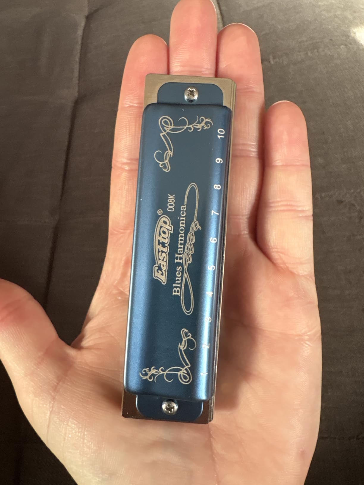 East top Harmonica Key of C, 10 Holes 008K Diatonic with Blue Case customer photo 1