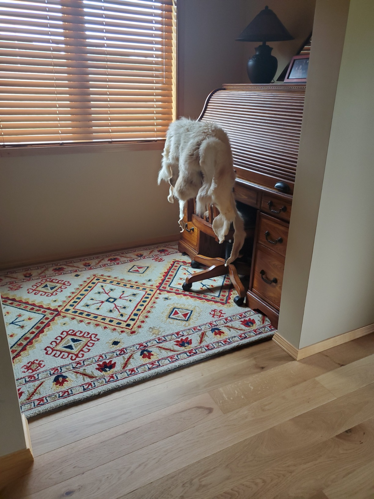 SAFAVIEH Aspen Collection Area Rug - 5' x 8', Ivory & Multi, Handmade Moroccan Boho Tribal Wool (APN706A) customer photo 2