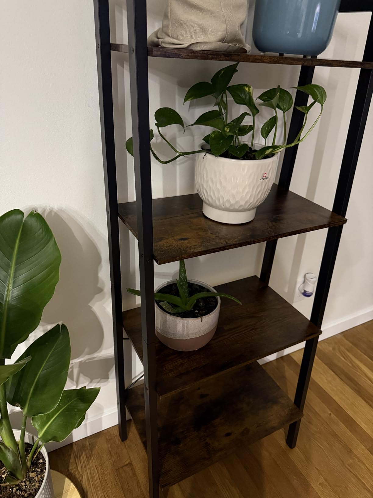 VASAGLE Ladder Shelf, 4-Tier Bookshelf, Storage Rack, Bookcase with Steel Frame, for Living Room, Home Office, Kitchen, Bedroom, Industrial Style, Rustic Brown and Ink Black customer photo 2