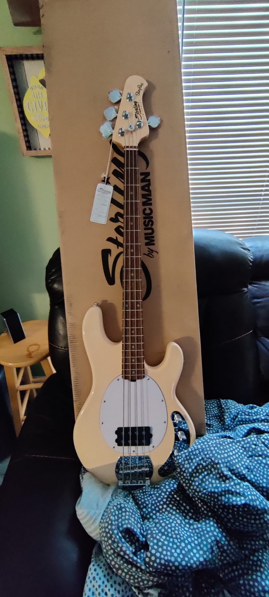 Sterling by Music Man StingRay Ray4 Bass Guitar, Walnut Satin customer photo 2