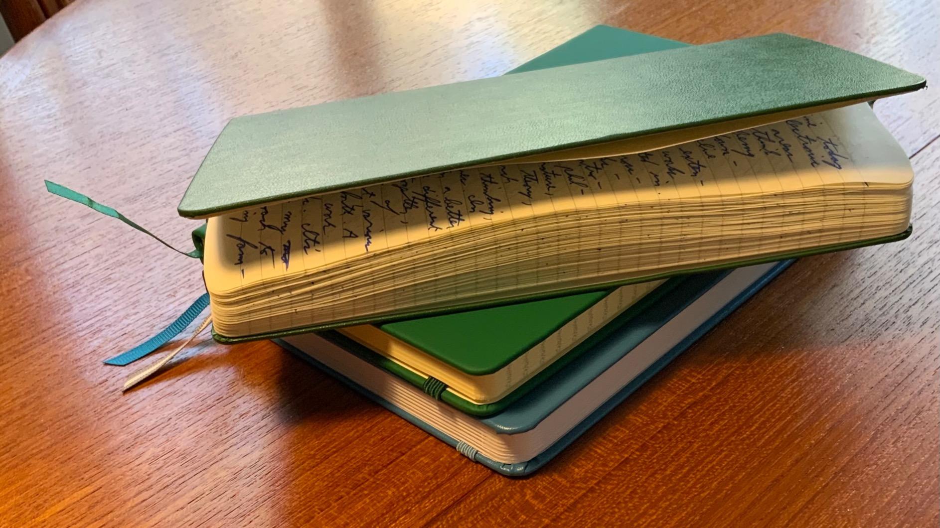 Moleskine Notebook, Large, Ruled, Myrtle Green, Hard (5 x 8.25) customer photo 1