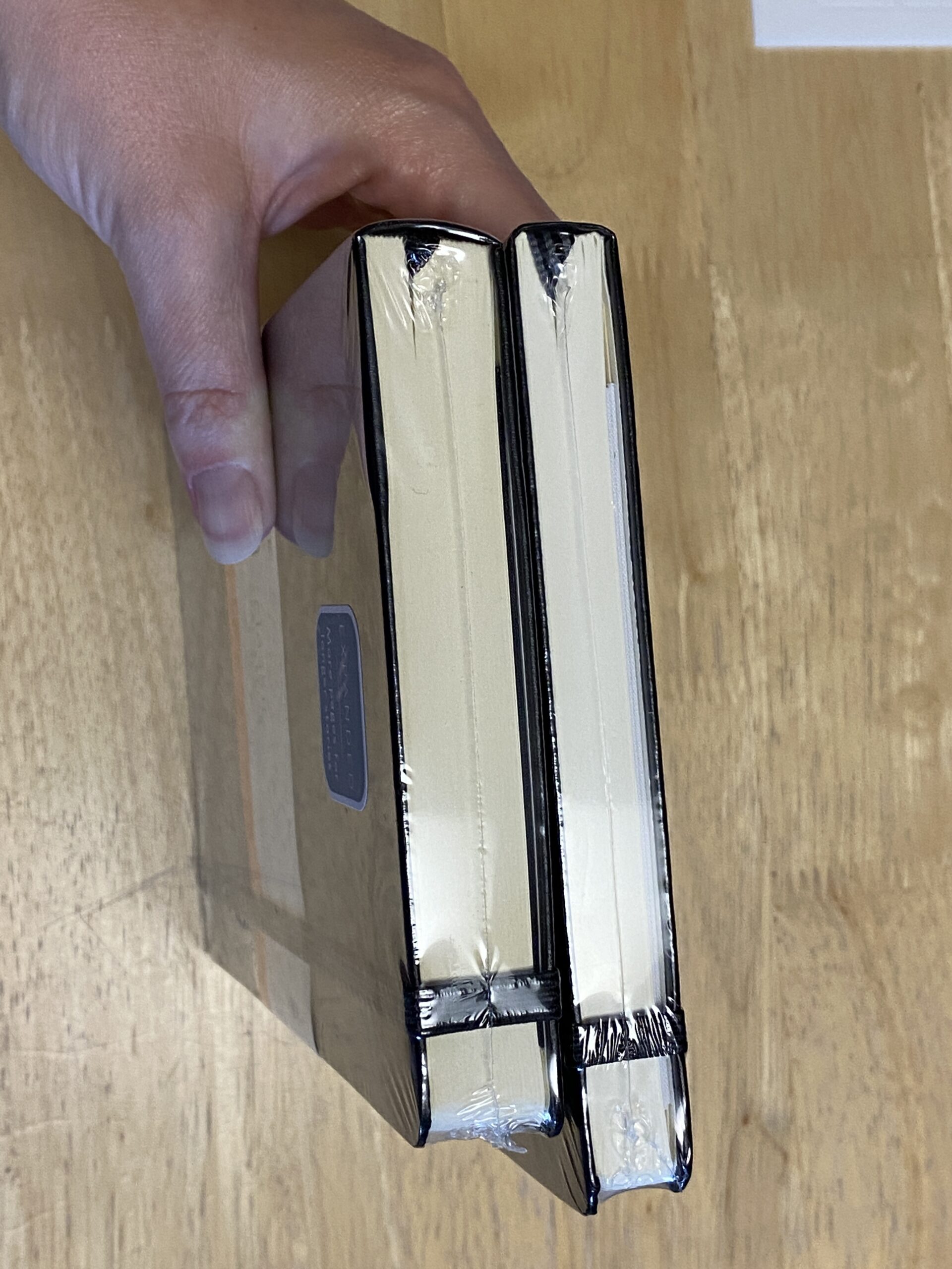 Moleskine Classic Expanded Notebook, Hard Cover, Large (5