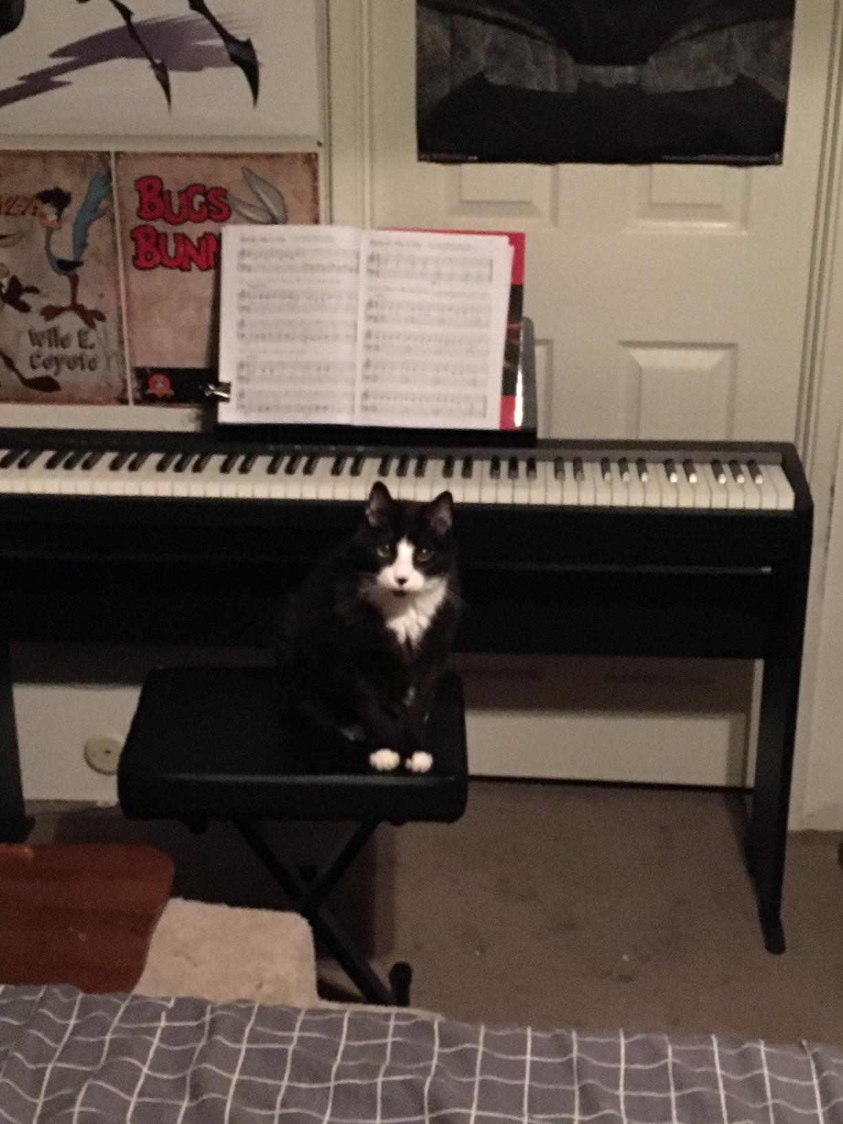 Roland FP-10 Compact 88-Note Digital Piano customer photo 1