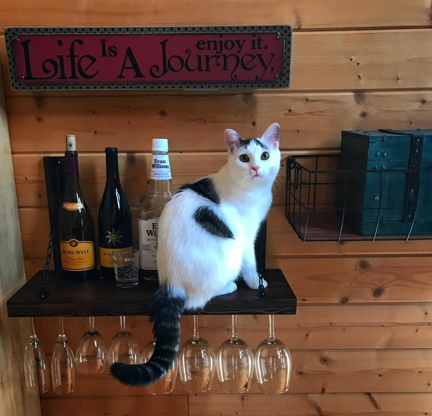 WELLAND Wall Mounted Wine Rack with Glass Holder, Floating Wine Shelf & Glass Rack Set for Home & Kitchen Decor, Rustic customer photo 2