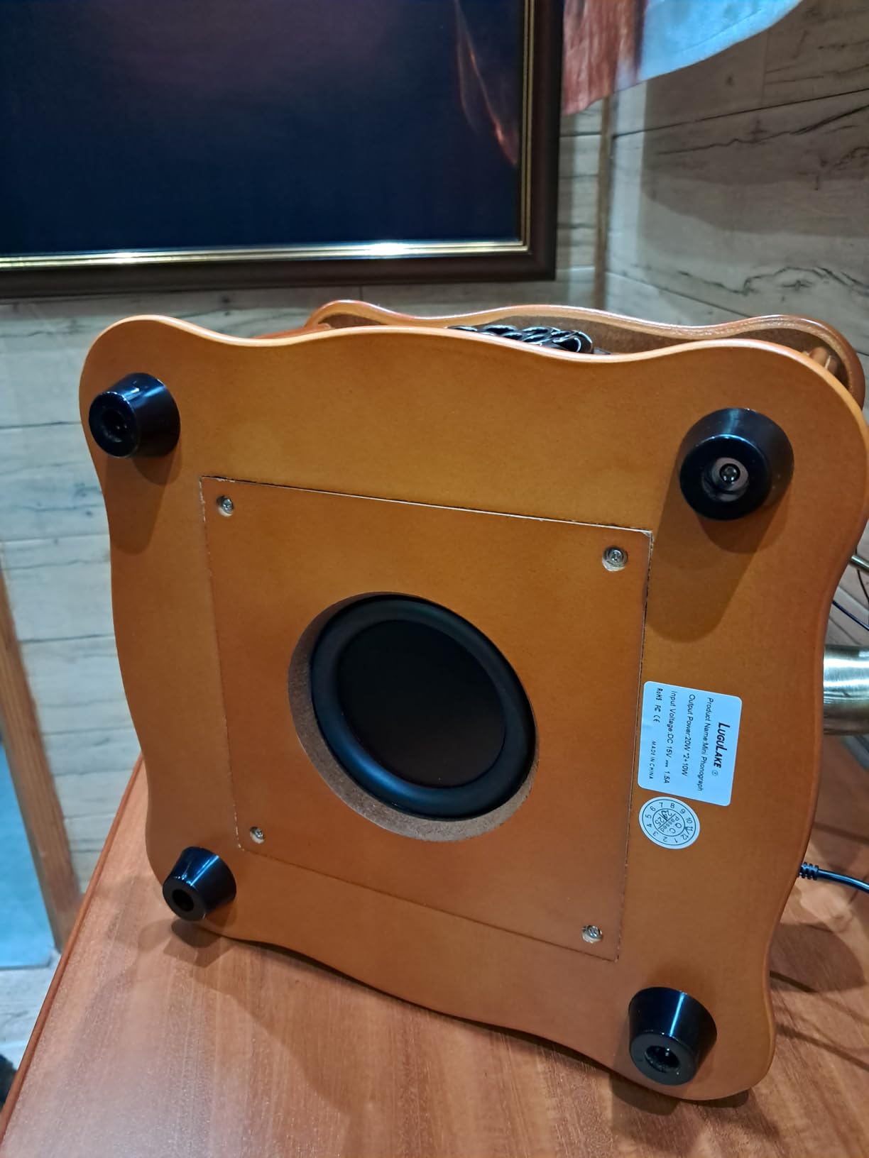 Record Player Retro Turntable All in One Vintage Phonograph Nostalgic Gramophone for LP with Copper Horn, Built-in Speaker 3.5mm Aux-in/USB customer photo 2