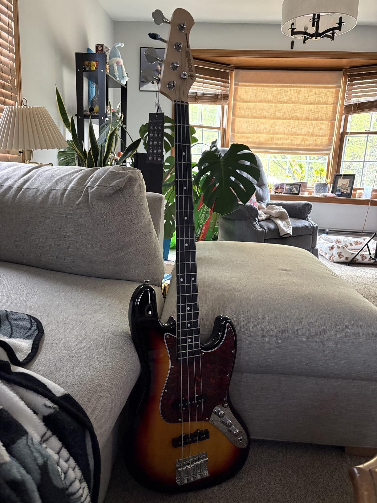 Donner Electric Bass Guitar 4 Strings Full-Size Standard Bass PB-Style Beginner Kit, DPB-510D Black customer photo 1