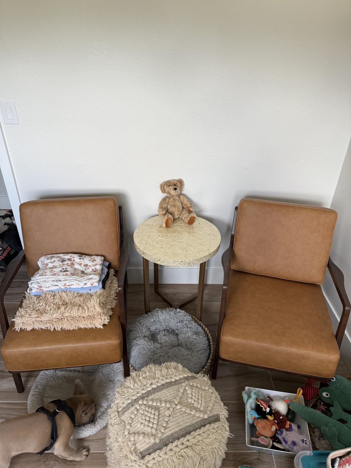 Poly & BARK Verity Leather Accent Chair - Armchair with Walnut Wood Frame - Fashion-Forward Lounge Seating for Living Room - Upholstered in Cognac Tan Leather for Modern Style customer photo 2