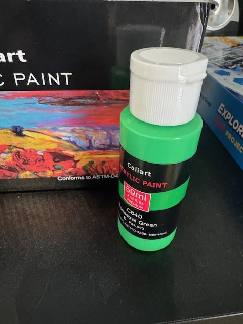 Caliart Acrylic Paint Set with 12 Brushes, 24 Colors Wood Craft Paints for Adults Kids Artists Beginners, Rich Pigments Non-toxic, Halloween Pumpkin Canvas Ceramic Rock Painting Kit Art Supplies customer photo 1