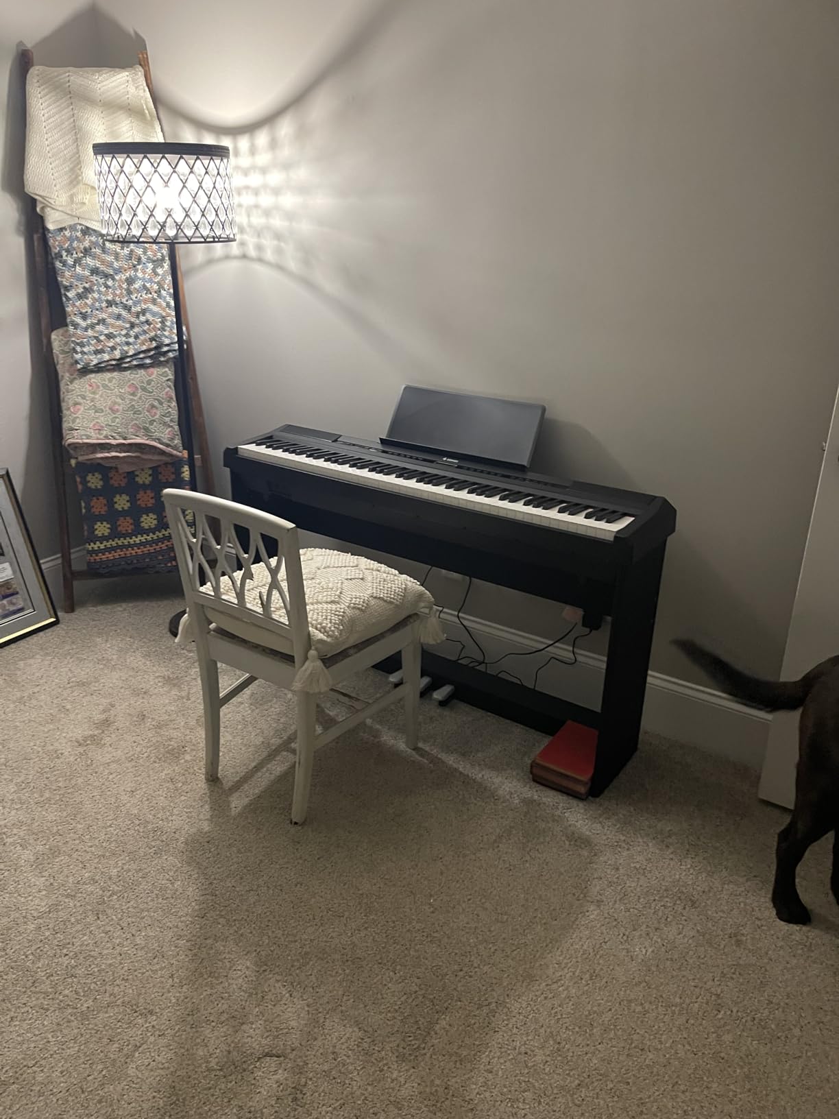 Donner DEP-20 Beginner Digital Piano 88 Key Weighted Keyboard customer photo 1