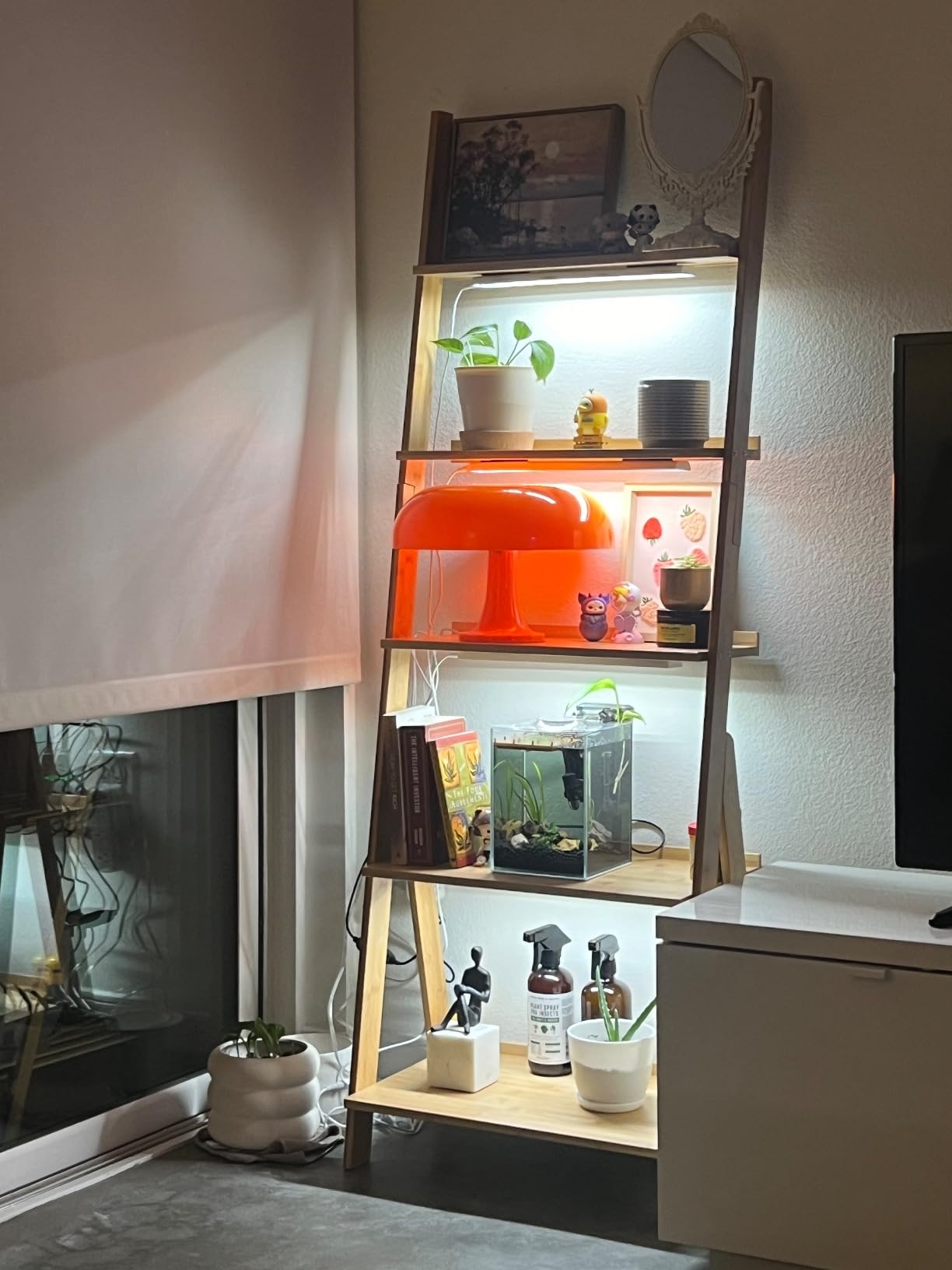 Ladder Shelf Bookshelf, 5-Tier Leaning Shelf, Free Standing Organizer Storage Shelves, Storage Rack Shelf for Office, Living Room, Nature customer photo 2