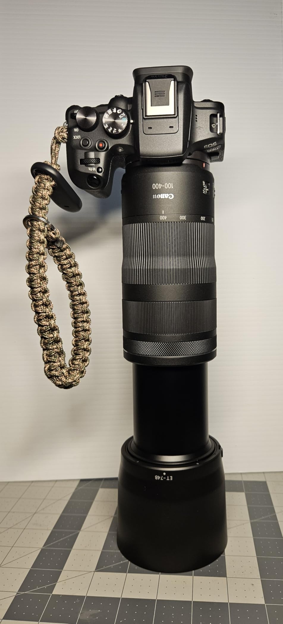 Canon RF 100-400mm F5.6-8 IS USM Telephoto Lens customer photo 1