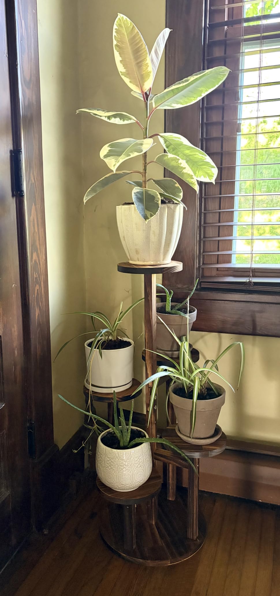 GEEBOBO 5 Tiered Tall Plant Stand for Indoor, Wood Plant Shelf Corner Display Rack, Multi-tier Planter Pot Holder Flower Stand for Living Room Balcony Garden Patio (Brown) customer photo 1