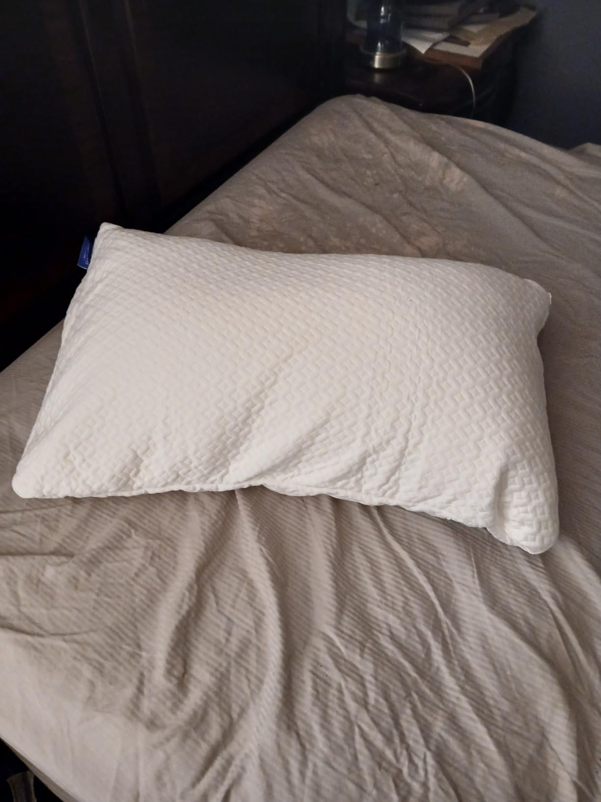 Luxury Rayon Derived from Bamboo Body Pillow for Side and Back Sleepers - Supportive, Soft, Fluffy, Quality Long Pillow - Measures 54 inches x 20 inches customer photo 2