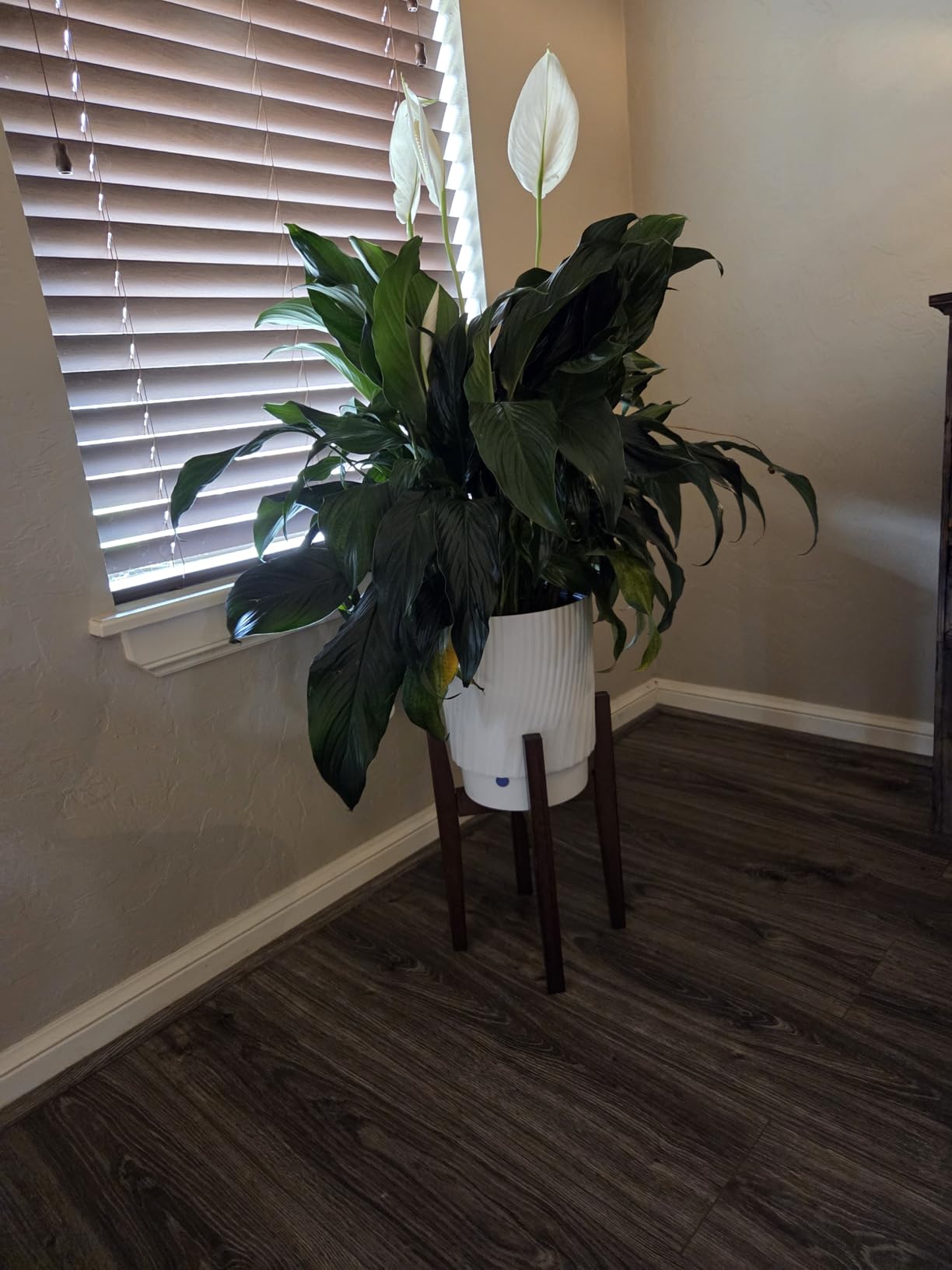 OERGKE Adjustable Plant Stand, Bamboo Mid Century Modern Indoor Plants Stands, Corner Flower Holder for Living Room, Fits 8 to 12 Inches Pots, (Pot & Plant Not Included) (Walnut, 1 Pack) customer photo 1