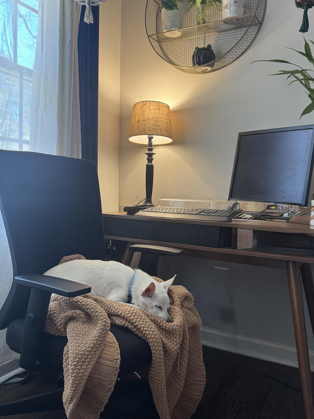 Artswish White Writing Desk with Drawers Mid Century Modern Desk, Wood Office Computer Desks for Small Space, White Desks with Walnut Legs customer photo 2