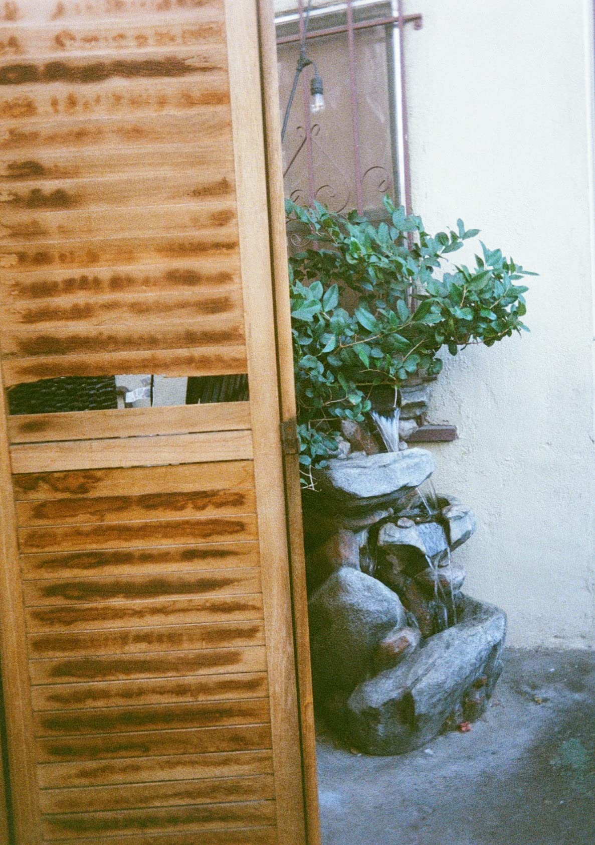 Kodak EKTAR H35 Half Frame Film Camera, 35mm, Reusable, Focus-Free, Lightweight, Easy-to-Use (Sand) customer photo 2