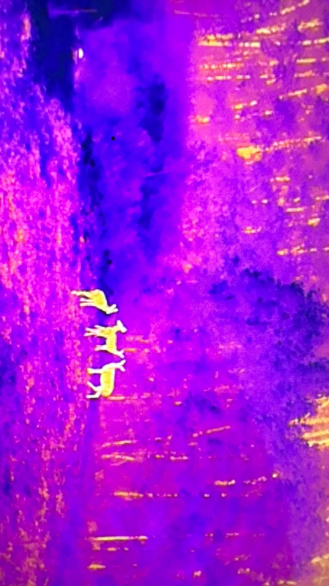 Autel EVO II Dual 640T V3, 640x512 Thermal Imaging Drone, Remote ID Supported, 0.8'' CMOS and 50MP 8K RYYB Sensor, 360 deg Obstacle Avoidance customer photo 2
