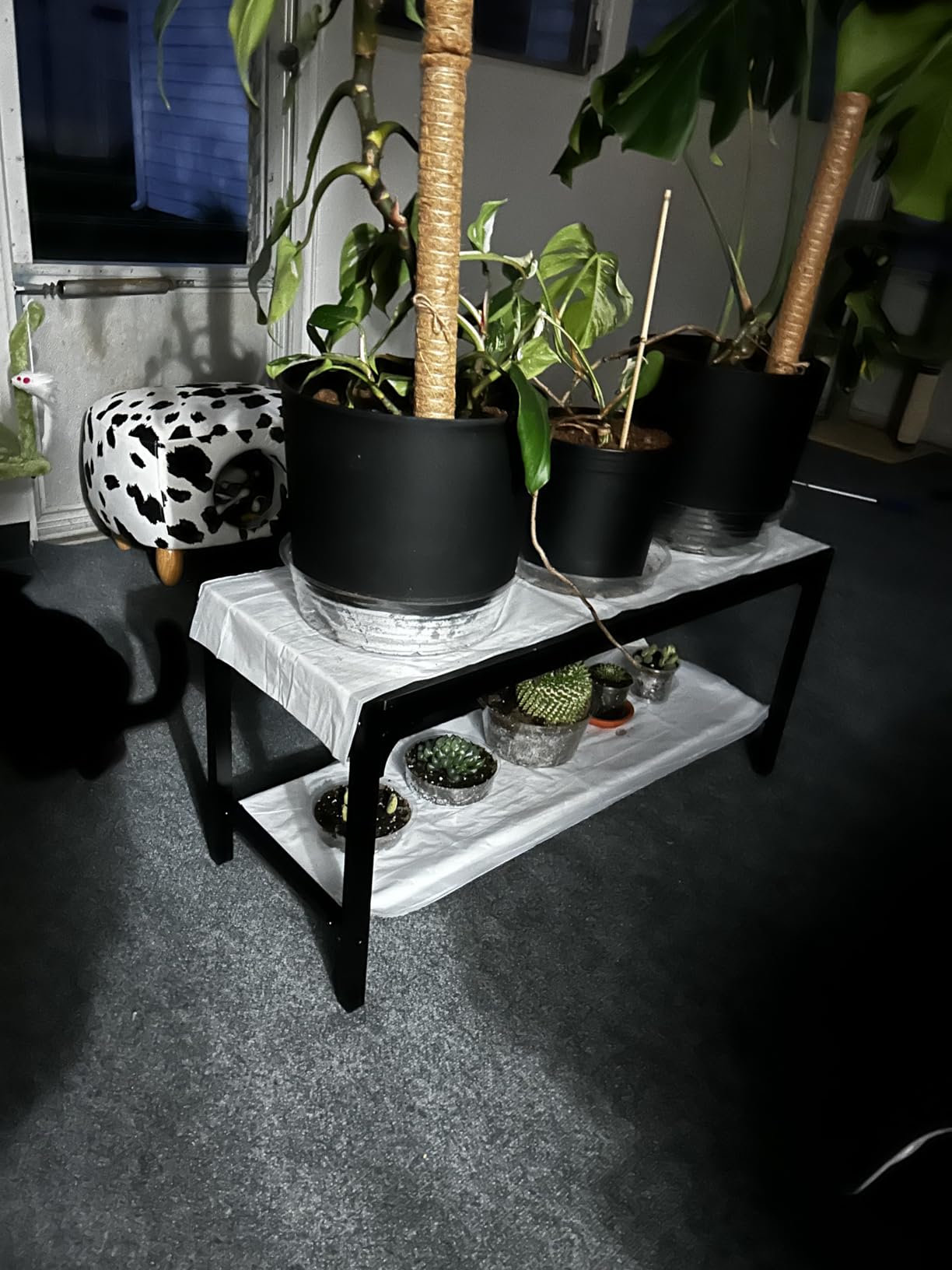 Gizoon Kitchen Table and 2 Chairs for 4 with Bench, 4 Piece Dining Table Set for Small Space, Apartment customer photo 2