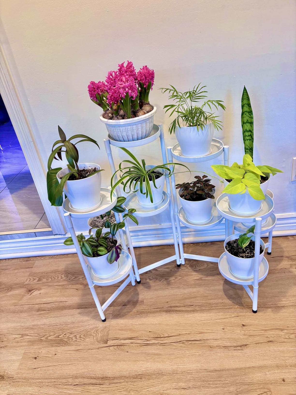 iDavosic.ly Plant Stand Indoor Outdoor, 5 Tier Corner Metal Flower Display Holder Shelf, Folding Tall Orchid Rack for Patio Balcony Porch Garden Living Room House, Black customer photo 1