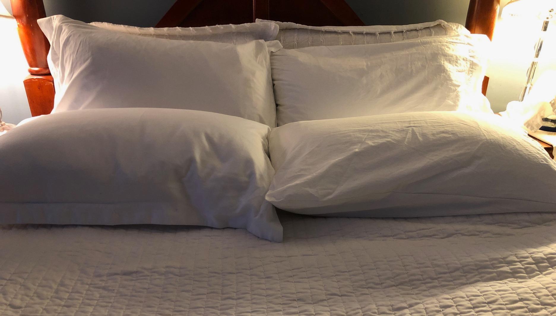Continental Bedding Serenity Collection 700 Fill Power Goose Down Pillow - Low, Medium, Extra Loft - RDS Certified Down - Oeko-TEX 400TC Cotton Shell - Standard, Queen, King customer photo 2