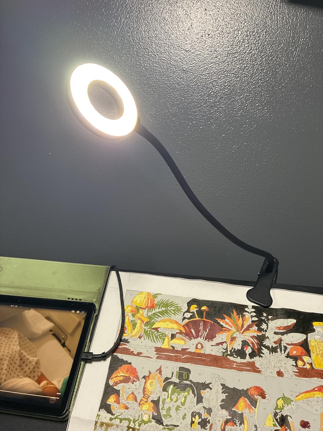 iZELL Desk Lamp, [3 Color Modes & 10 Brightness] LED Reading Light with Clamp, Silicone Flexible Arm Book Light for Kids Reading Book in Bed at Night Clip on Table, Headboard, Dorm - 15.8'' Black customer photo 2